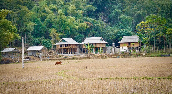 Mai Chau Ecolodge Overview